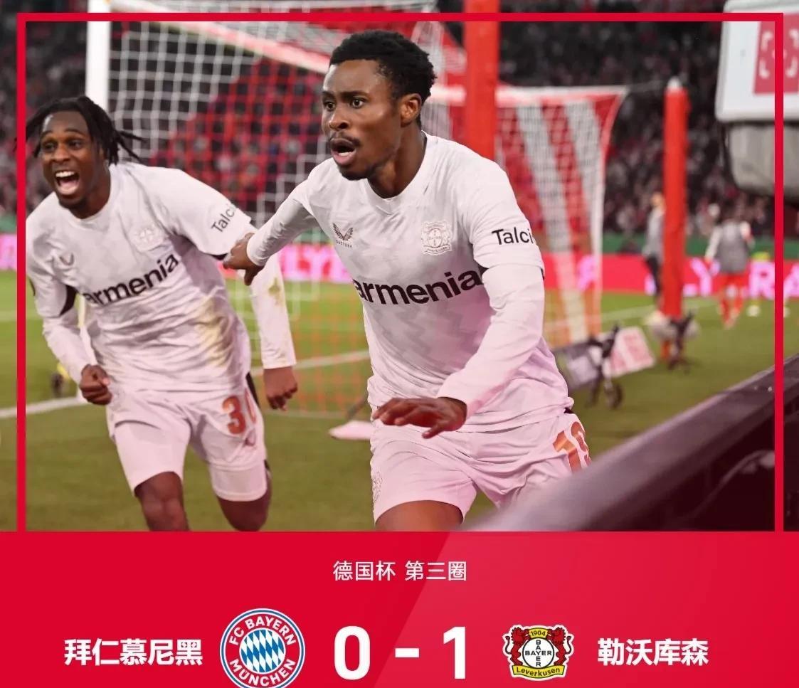 m6米乐投注新疆广汇男篮最新名单